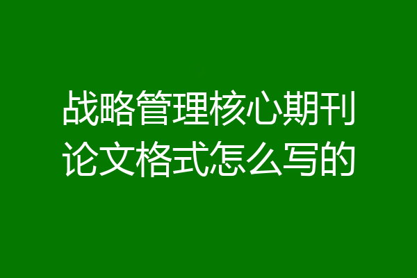 战略管理核心期刊论文格式怎么写的
