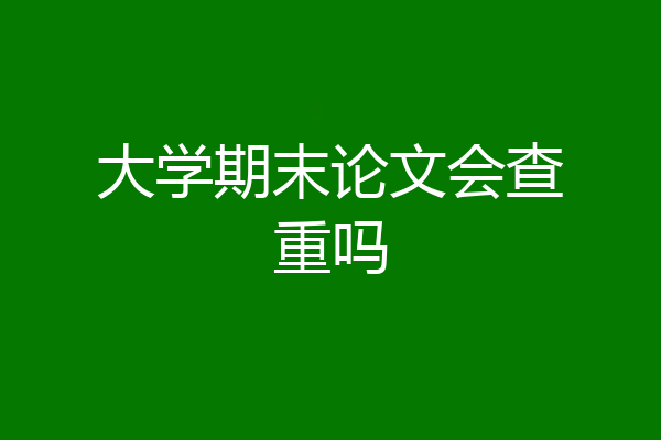 大学期末论文会查重吗