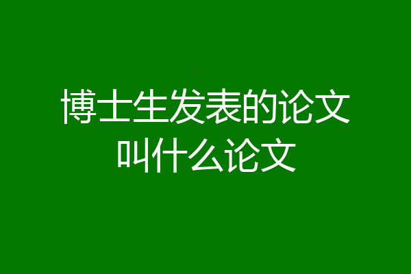 博士生发表的论文叫什么论文
