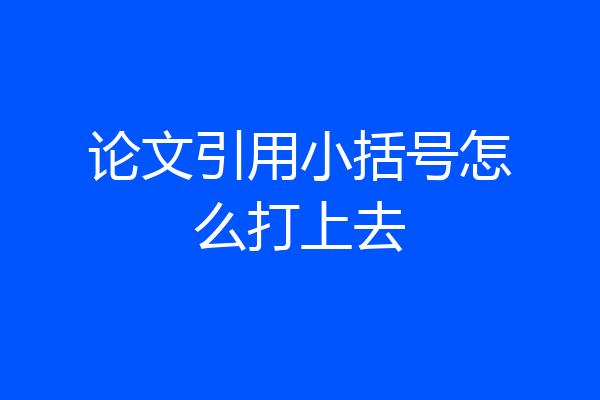 论文引用小括号怎么打上去