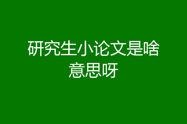 研究生小论文是啥意思呀