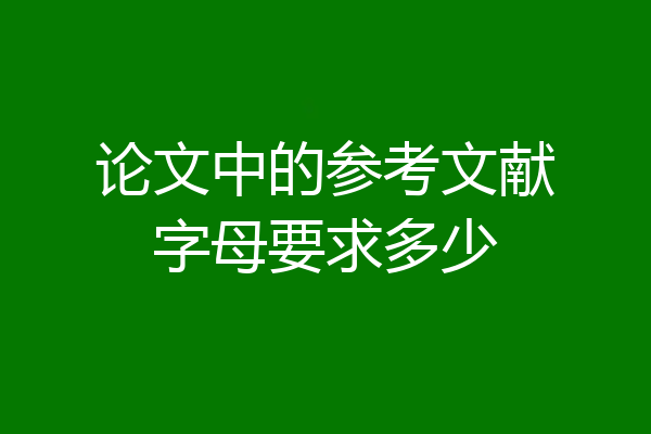 论文中的参考文献字母要求多少
