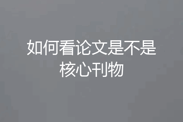 如何看论文是不是核心刊物