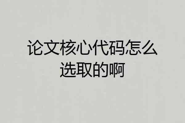 论文核心代码怎么选取的啊