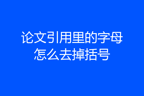 论文引用里的字母怎么去掉括号