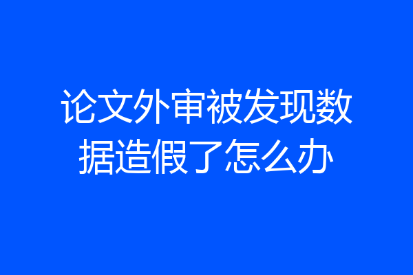 论文外审被发现数据造假了怎么办
