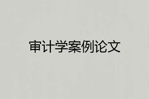 审计学案例论文