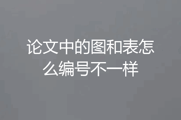 论文中的图和表怎么编号不一样