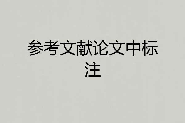 参考文献论文中标注