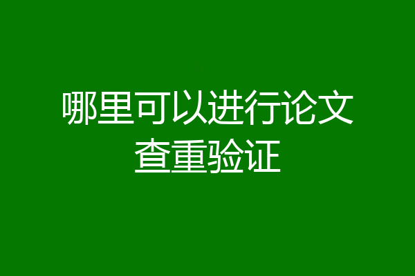 哪里可以进行论文查重验证