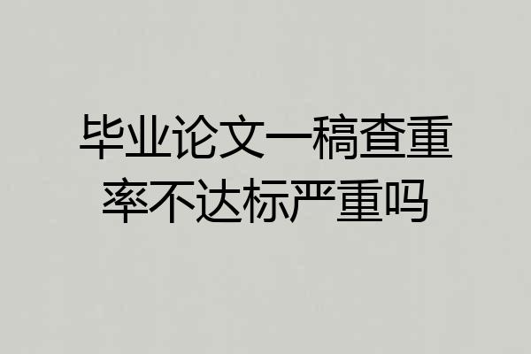 毕业论文一稿查重率不达标严重吗