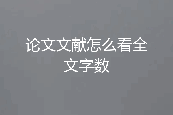 论文文献怎么看全文字数