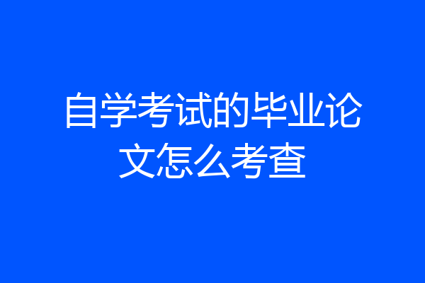 自学考试的毕业论文怎么考查