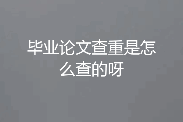毕业论文查重是怎么查的呀