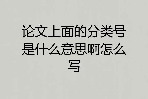 论文上面的分类号是什么意思啊怎么写