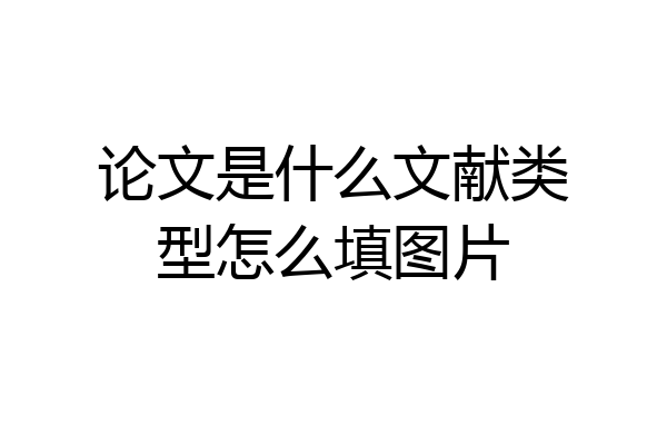 论文是什么文献类型怎么填图片