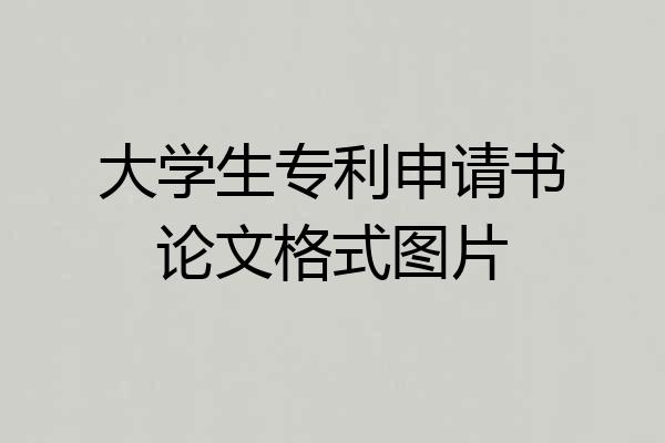 大学生专利申请书论文格式图片