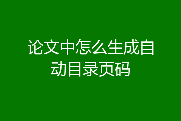 论文中怎么生成自动目录页码
