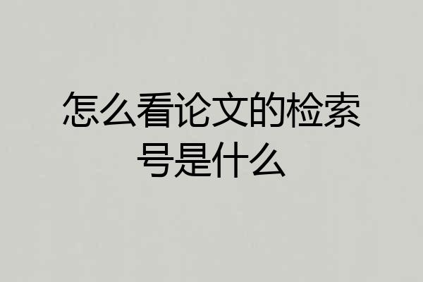 怎么看论文的检索号是什么