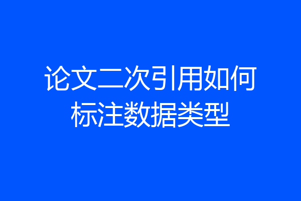 论文二次引用如何标注数据类型