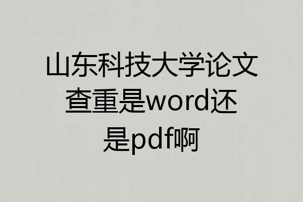 山东科技大学论文查重是word还是pdf啊