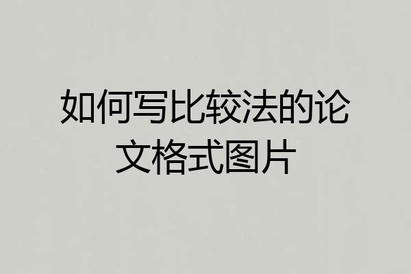 如何写比较法的论文格式图片