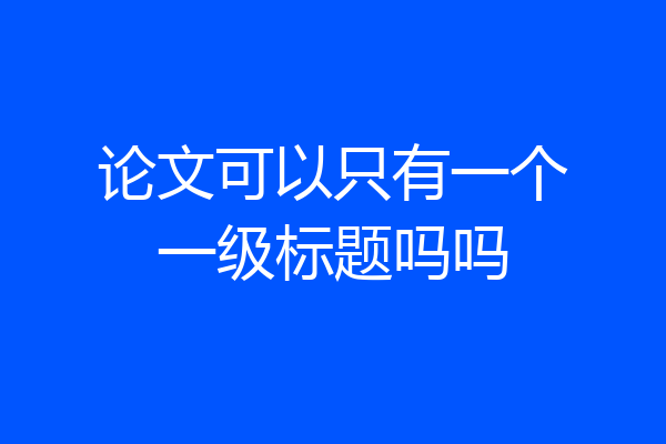 论文可以只有一个一级标题吗吗