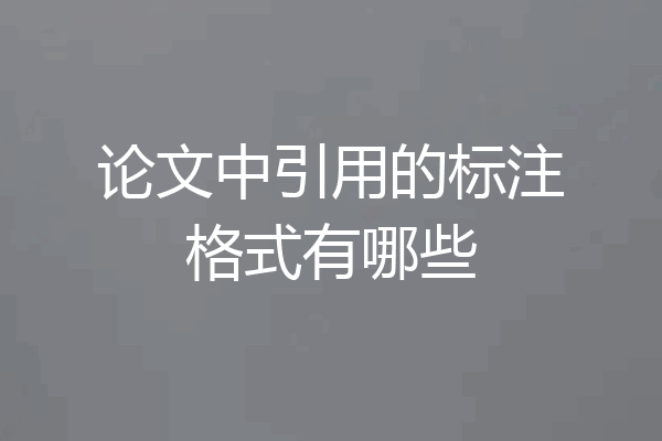 论文中引用的标注格式有哪些