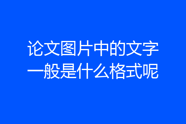 论文图片中的文字一般是什么格式呢
