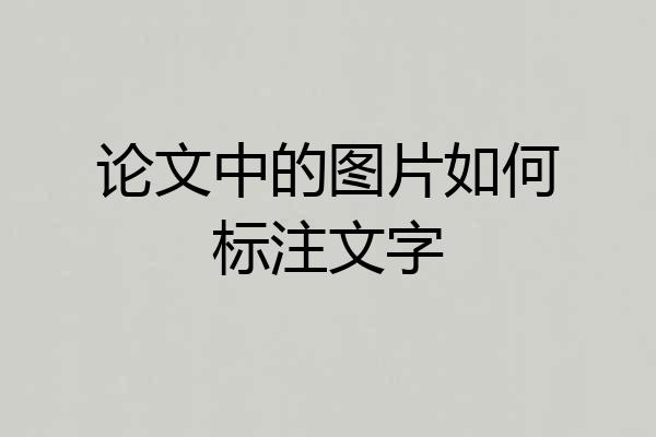 论文中的图片如何标注文字