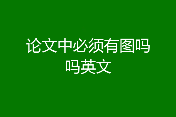 论文中必须有图吗吗英文