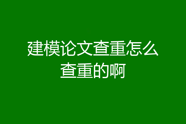 建模论文查重怎么查重的啊