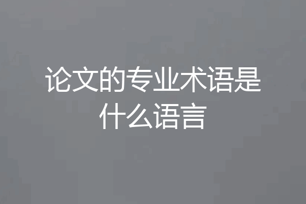 论文的专业术语是什么语言