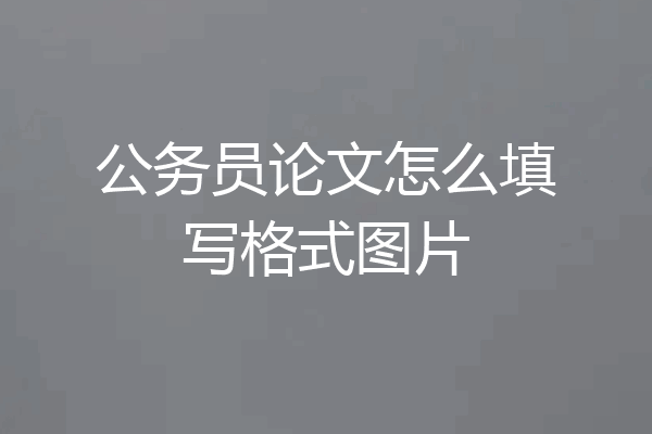 公务员论文怎么填写格式图片