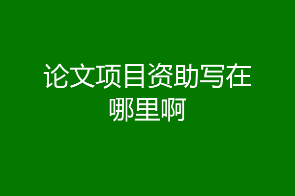 论文项目资助写在哪里啊