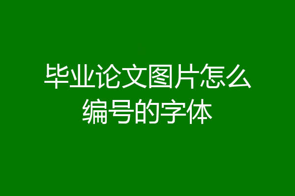 毕业论文图片怎么编号的字体