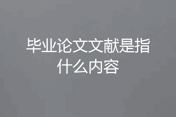 毕业论文文献是指什么内容