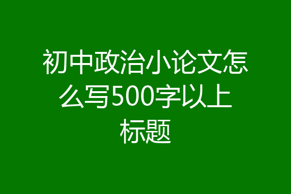 初中政治小论文怎么写500字以上标题