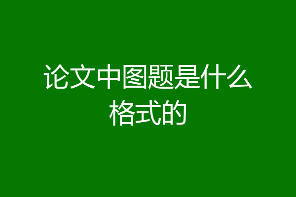 论文中图题是什么格式的