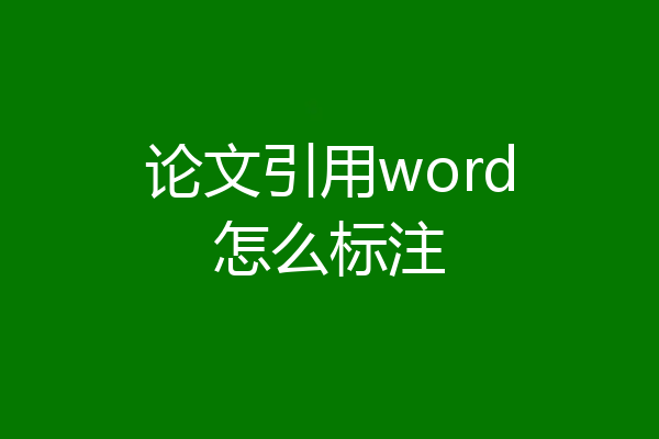 论文引用word怎么标注