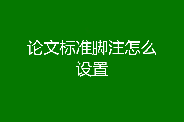 论文标准脚注怎么设置