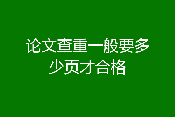 论文查重一般要多少页才合格
