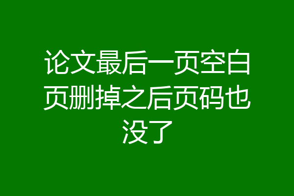 论文最后一页空白页删掉之后页码也没了