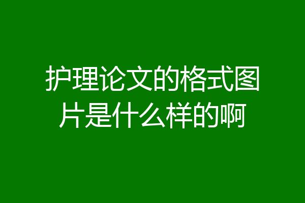 护理论文的格式图片是什么样的啊