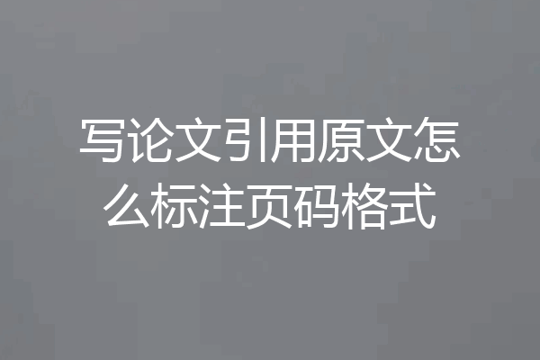写论文引用原文怎么标注页码格式