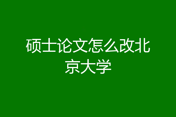 硕士论文怎么改北京大学