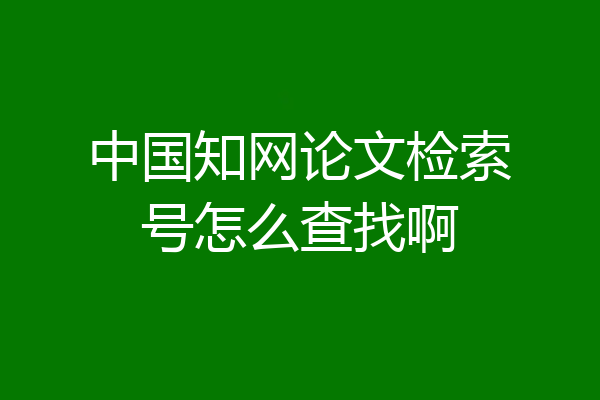 中国知网论文检索号怎么查找啊