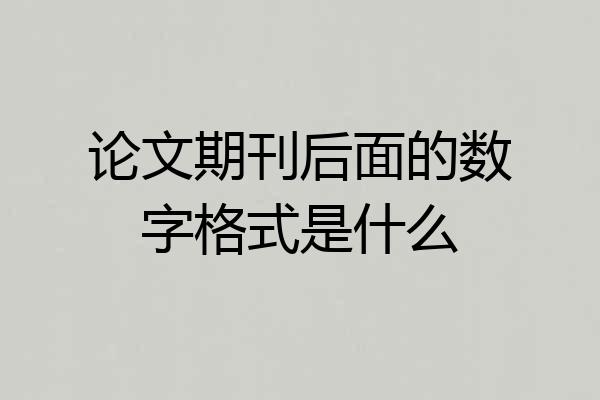 论文期刊后面的数字格式是什么
