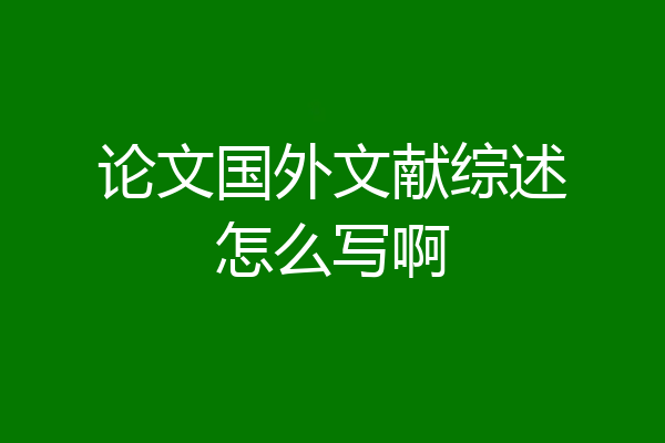 论文国外文献综述怎么写啊