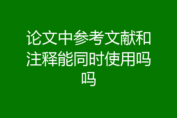 论文中参考文献和注释能同时使用吗吗
